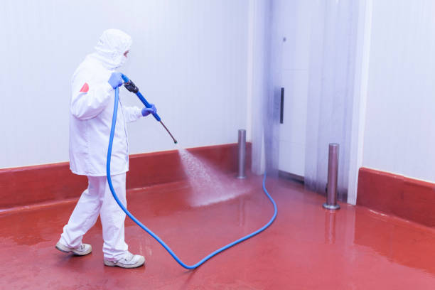 Best Roof Washing  in Kiryas Joel, NY